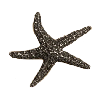Starfish-Sm Knob 868