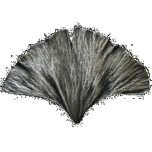 Gingko Leaf Knob