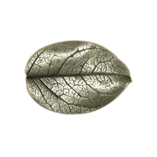 Sm. Monterey Leaf Knob 2236