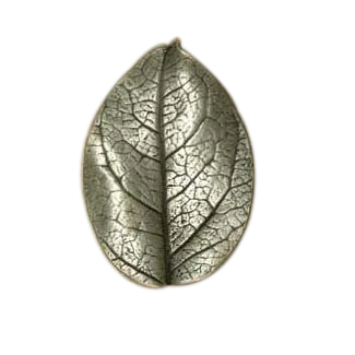 Lg. Monterey Leaf Knob 2237