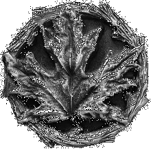 Maple Leaf Knob