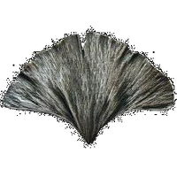 Gingko Leaf Knob