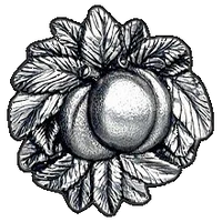 NOH-NHK-154-BP