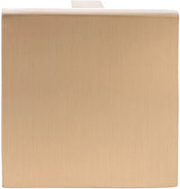 Bendale Contemporary Metal Knob BP84150CHBRZ