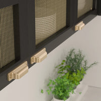 Torino Transitional Metal Pull BP871696CHBRZ