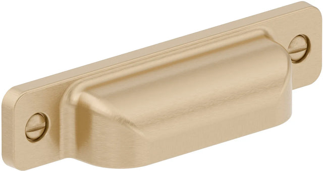 Torino Transitional Metal Pull BP871696CHBRZ