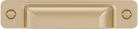 Torino Transitional Metal Pull BP871696CHBRZ