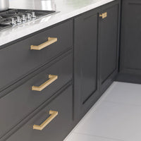 Torcello Transitional Metal Pull BP8795192CHBRZ